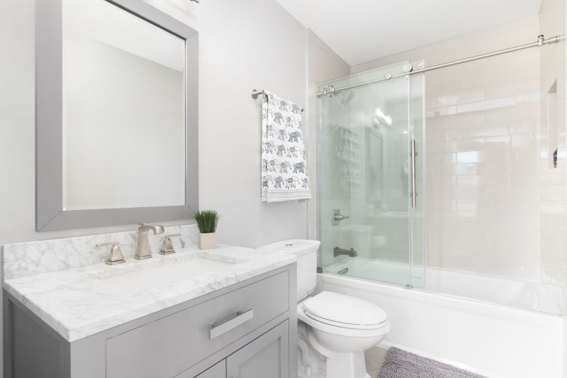 Top Tub To Shower Conversion Companies in Mundelein, IL